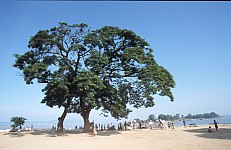 Thumbnail of Myanmar 2000-02-166.jpg