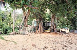 Thumbnail of Seychellen 1999-003.jpg