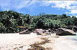 Thumbnail of Seychellen 1999-041.jpg