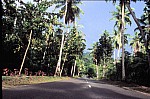 Thumbnail of Seychellen 1999-044.jpg