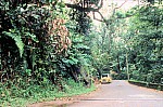 Thumbnail of Seychellen 1999-054.jpg