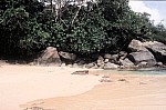 Thumbnail of Seychellen 1999-066.jpg