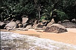 Thumbnail of Seychellen 1999-067.jpg