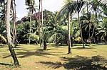 Thumbnail of Seychellen 1999-075.jpg