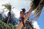 Thumbnail of Seychellen 1999-138.jpg