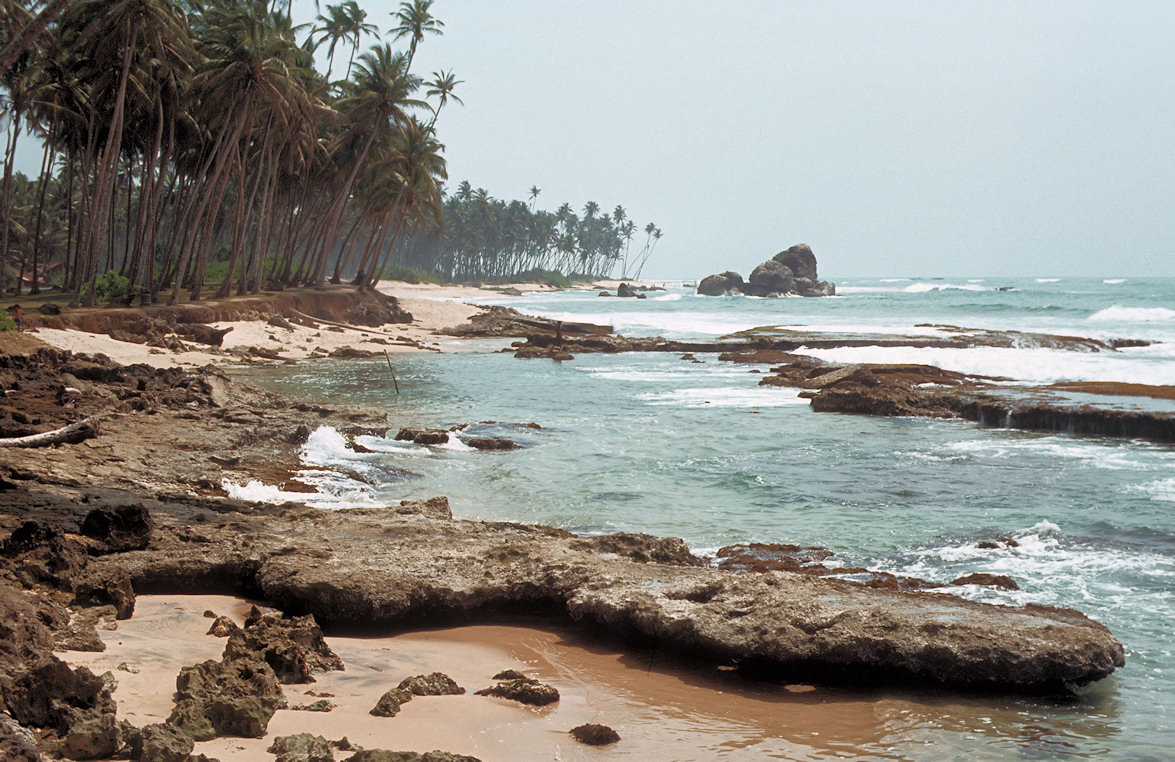 Sri Lanka 1982-02-030.jpg