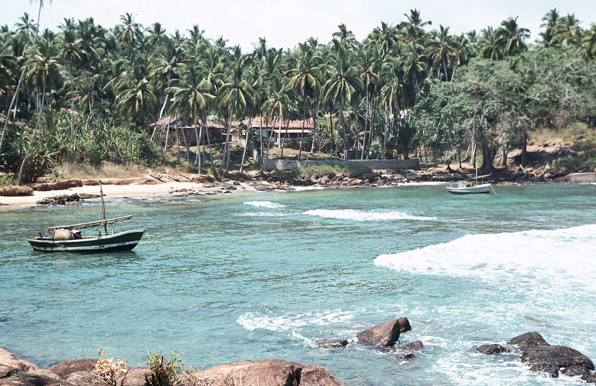 Sri Lanka 1982-02-178.jpg