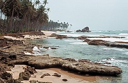 Thumbnail of Sri Lanka 1982-02-030.jpg
