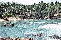 Thumbnail of Sri Lanka 1982-02-178.jpg