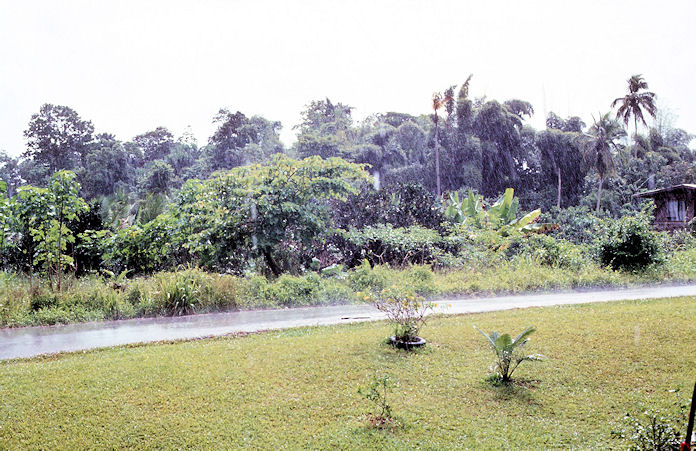 Trinidad-02-102.jpg